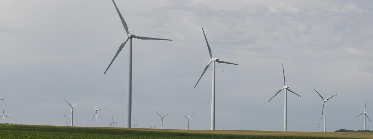 Wind turbines. 