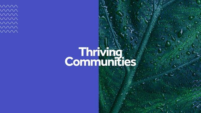 Thriving Communities overview. 